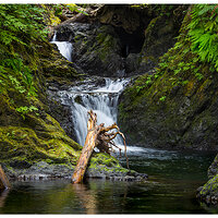 C5D2_WillabyFalls081409.jpg