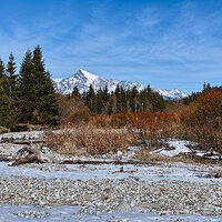 _SDI3825-TGArt kopieo 1 rez.jpg