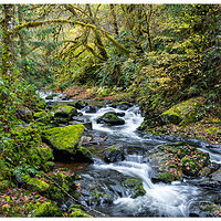 CR5m2_SC-Rapids103124.jpg