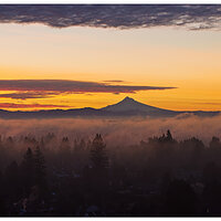 DJI_MP3_70_Start022125.jpg