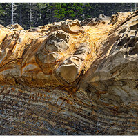 C5D4_ShoreAcresSculptures092221.jpg