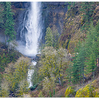 DJI_MP3_166_LowerMultnomah022025.jpg