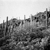Camino De Oeste 1996-2