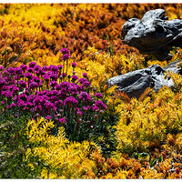 CR5m2_BacklitLandscaping050525.jpg