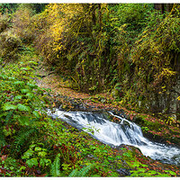 CR5m2_SCUnnamedFalls-3103124.jpg
