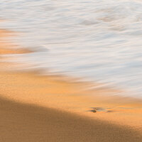 _DSC1705-SV2K5.jpg