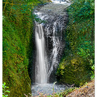 C5D_MOneontaFalls071408.jpg