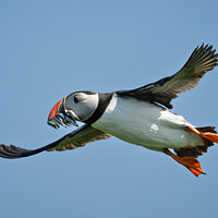 _DSC4963-1 copy.jpg