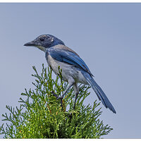 CR5m2_JayWatch082524.jpg