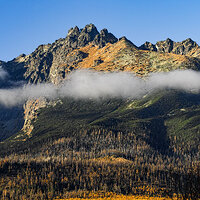 _SDI0201N-GArt kopie.jpg