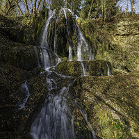 _DSF3194-Sharp kopie.jpg