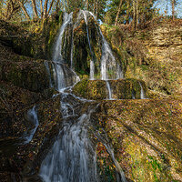 DSF3194-TPhoto kopie little.jpg