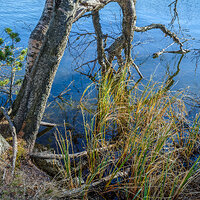 GFX100S000_010-Photo kopie.jpg