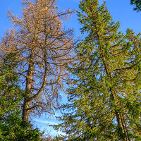 _DSF3332-Velvia Photo kopie (1).jpg