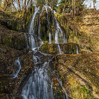 _DSF3194 – Adaptive 85 Photo kopie.jpg