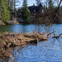 _DSF3334 – Astia – Alexandra.jpg