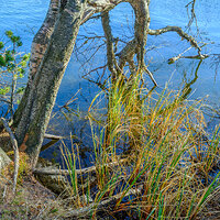 GFX100S000_010-Velvia1 Photo kopie.jpg