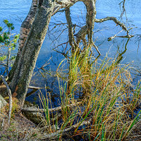 GFX100S000_010-Velvia1 Photo kopie.jpg