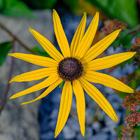 GFX100S000_000-Velvia kopie.jpg