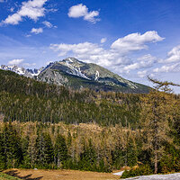 _SDI4536-Sharpen kopie.jpg