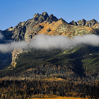 _SDI0201N-Gigapix LR+refocus kopie.jpg