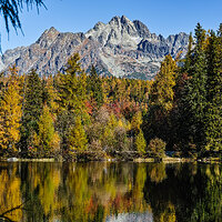 _P3M0848-Sharpen kopie.jpg