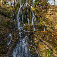 _DSF3194 – Adaptive 85 Photo kopie.jpg