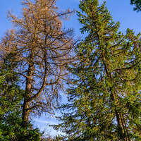 _DSF3332-Velvia Photo kopie.jpg