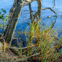 GFX100S000_010-Velvia1 Photo kopie.jpg