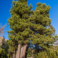 _DSF3188 – Landscape Photo kopie.jpg