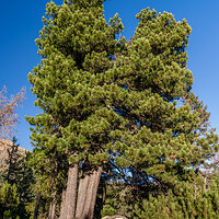 _DSF3188 – Landscape Photo kopie.jpg