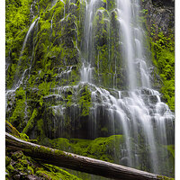 C6D_ProxyFalls092213.jpg