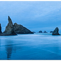 C5D2_BandonBlues101710.jpg