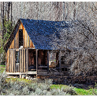 C5D2_US89Cabin042109.jpg