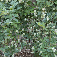 _C0A7564-Edit.jpg