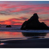 C5D4_SunriseSilhouettes012222.jpg