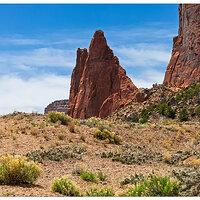 C5D2_CanyonDeChellyCacti041610.jpg