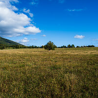 GFX100S000_014-Landscape Photo copy.jpg