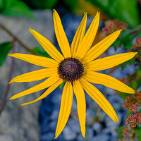 GFX100S000_000-Velvia Sharpen copy.jpg