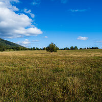 GFX100S000_014-Landscape Photo copy.jpg