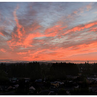 DJI_M4P_28_SunriseStart082826.jpg
