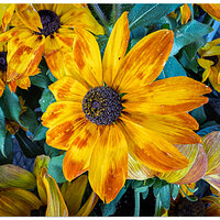 i15P_RustyCone083026.jpg