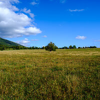 GFX100S000_014-Velvia Photo N copy.jpg