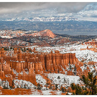 C6D_FreshSNowBryce041715.jpg