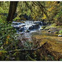 CR5m2_ManySweetFalls102825.jpg