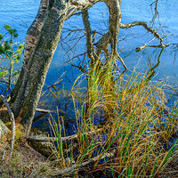 GFX100S000_010-Velvia Photo 24x32.jpg