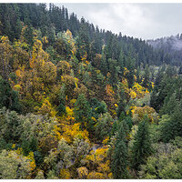DJI_MP3_24_CoastalMtnFall110623.jpg