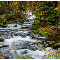 C5D4_AnniceFalls110823.jpg