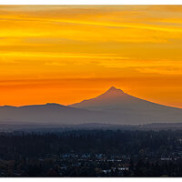DJI_M4P_168P_MorningColor101626.jpg