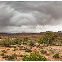 C6D_StormyView042215.jpg